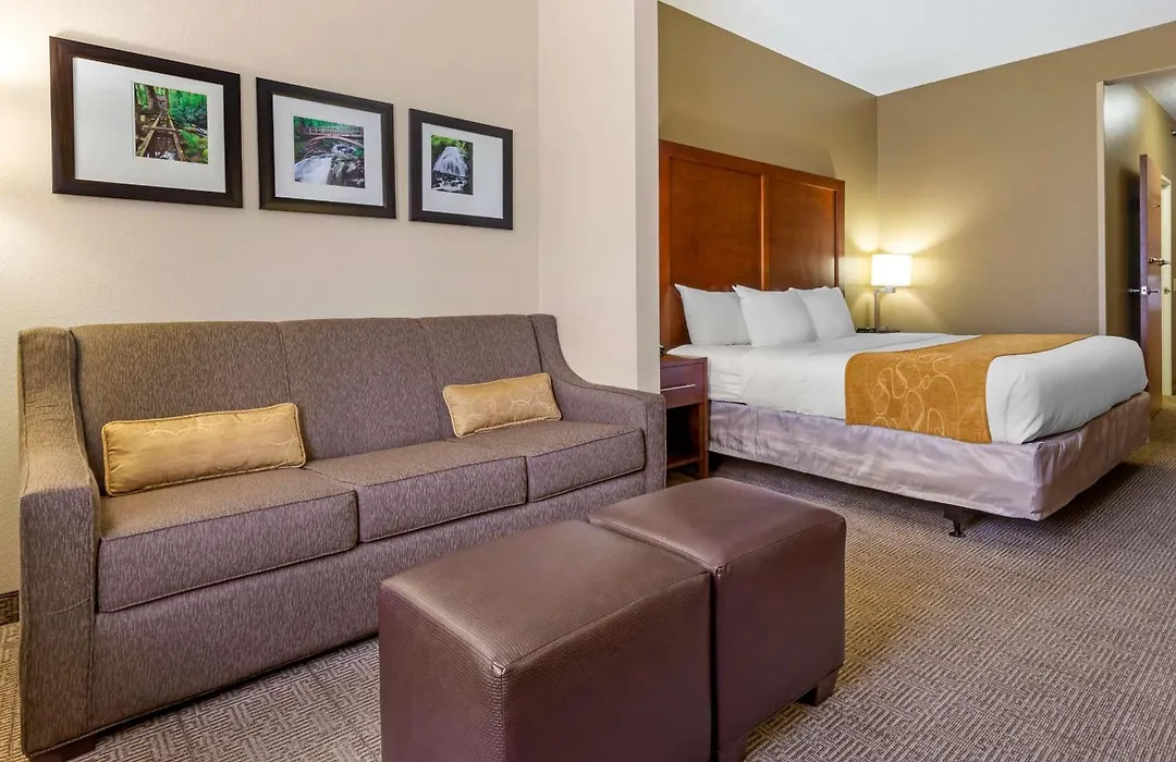 Comfort Suites Boone - University Area-1