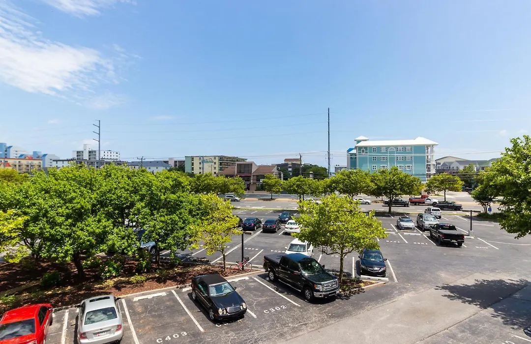 Triton'S Trumpet-1