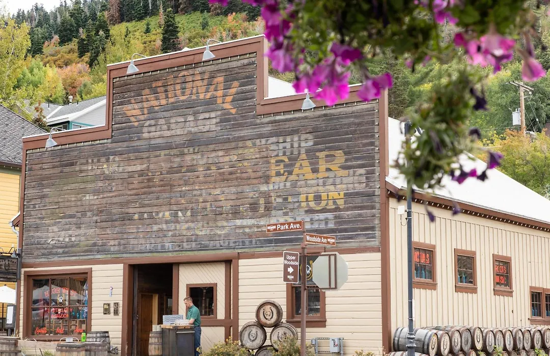 Norfolk Mountain Fantasy! 1121 By Skyrun Park City-1