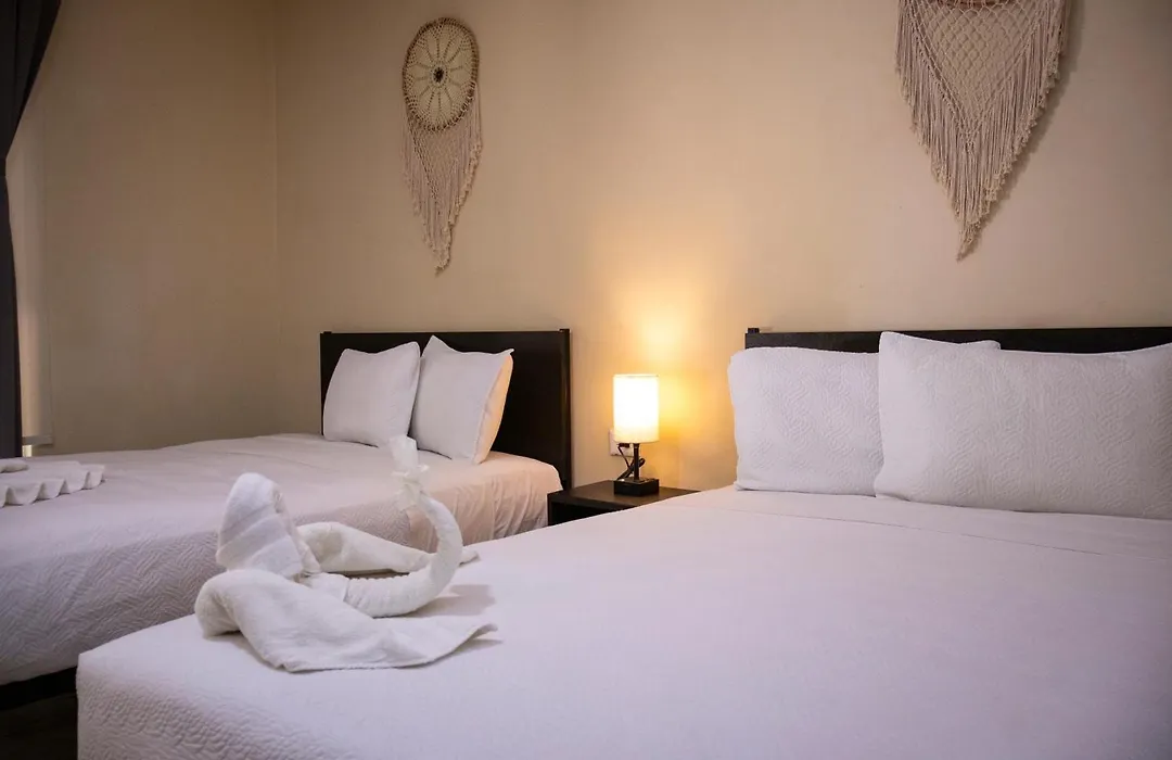 Ammare Hotel Boutique-1