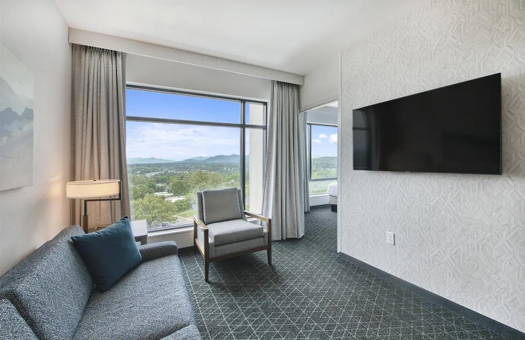 Embassy Suites By Hilton Asheville Downtown-1
