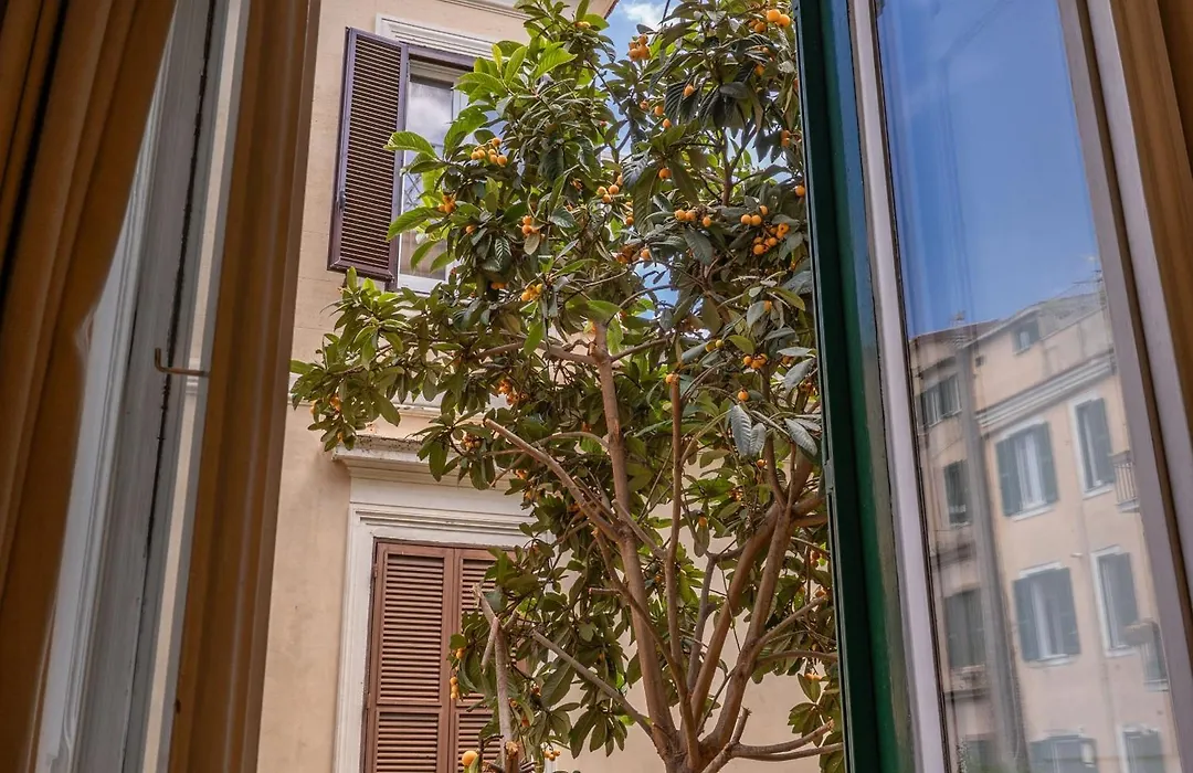 Imperia Suite-1