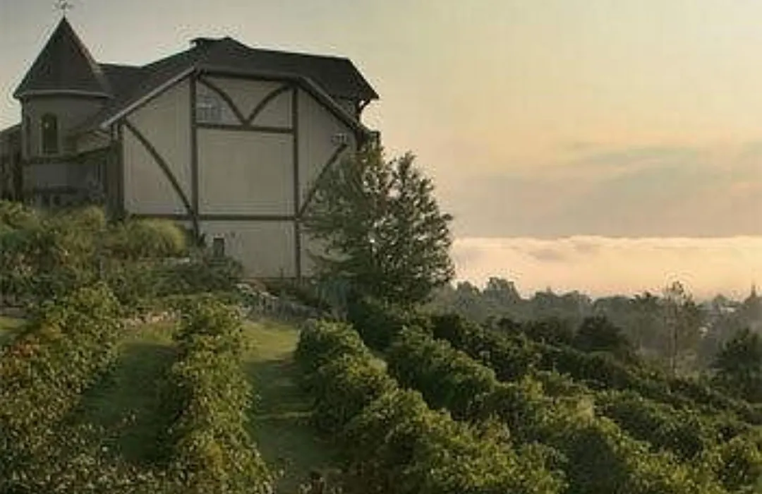 Hermann Hill (Adults Only)-1