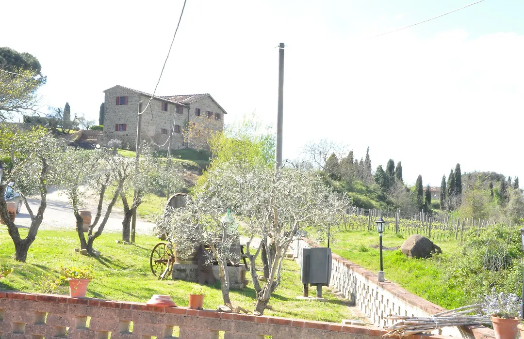 A Dream In The Center Of Rome Near The Colosseum (Adults Only)-1