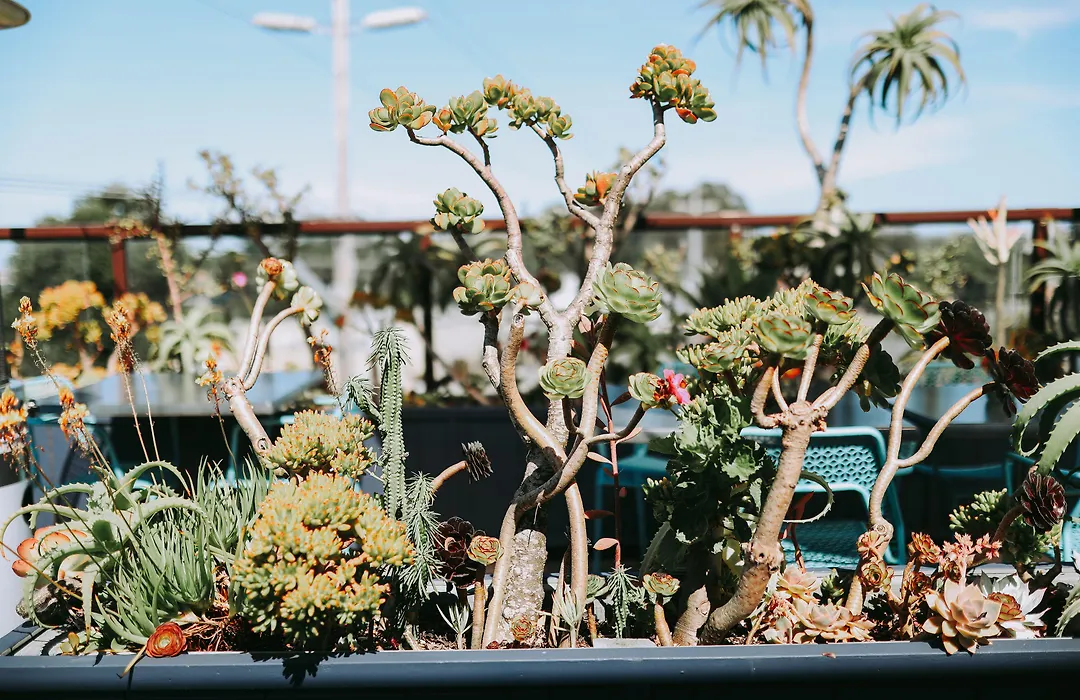 Hotel 1110 (Adults Only)-1