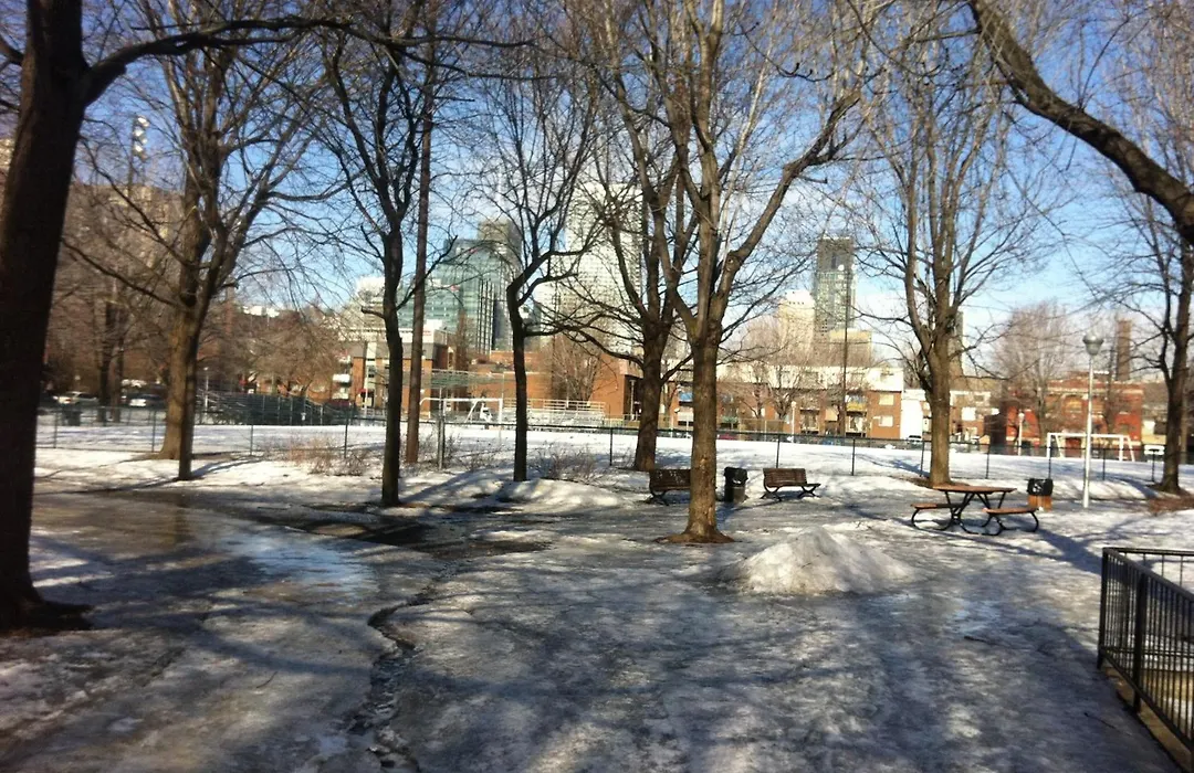 Repos & Manna Downtown Montreal-1