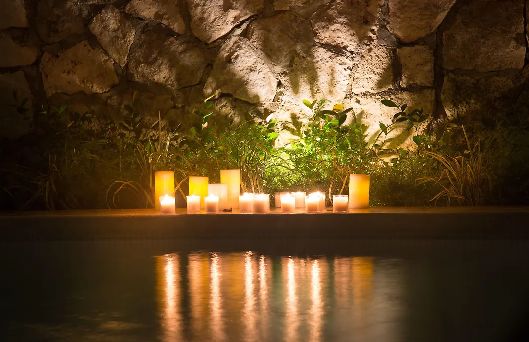 Livetulum-1