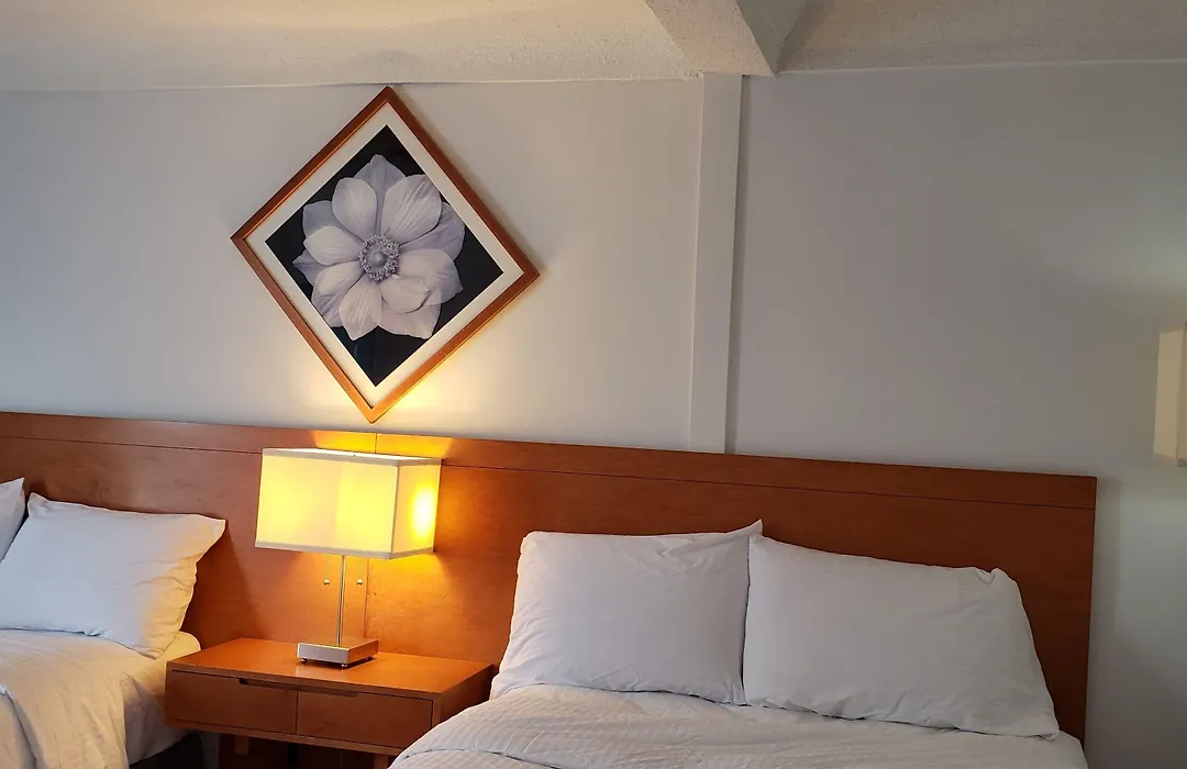 Niagara Inn Downtown-1