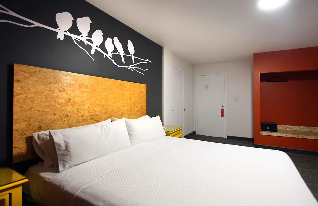 B My Hotel-1