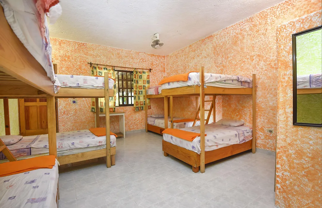 Amigos Hostel Cozumel-1
