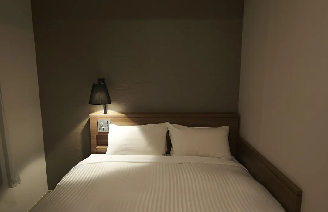 Sotetsu Fresa Inn Ginza-Nanachome-1