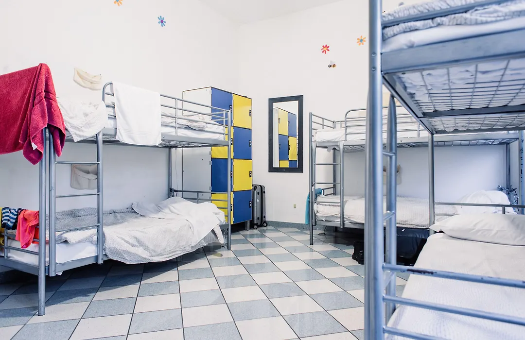 The Beehive Hostel-1