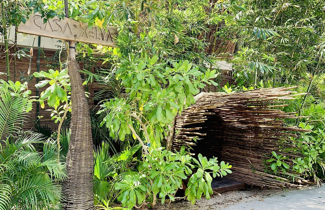 Orchid House Tulum Jungle-1