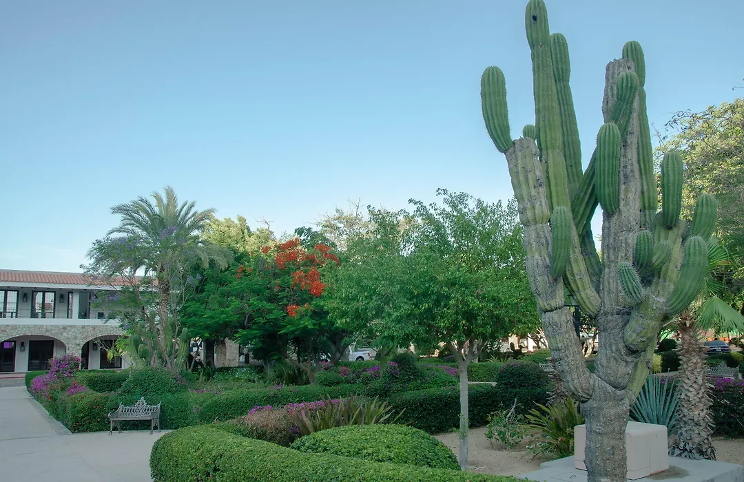 Pedregal Suites - Marina And Downtown-1