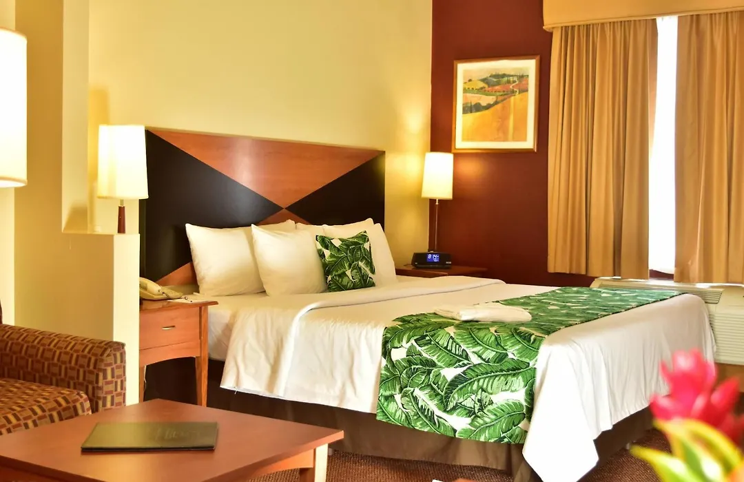 Sleep Inn Paseo Las Damas-1
