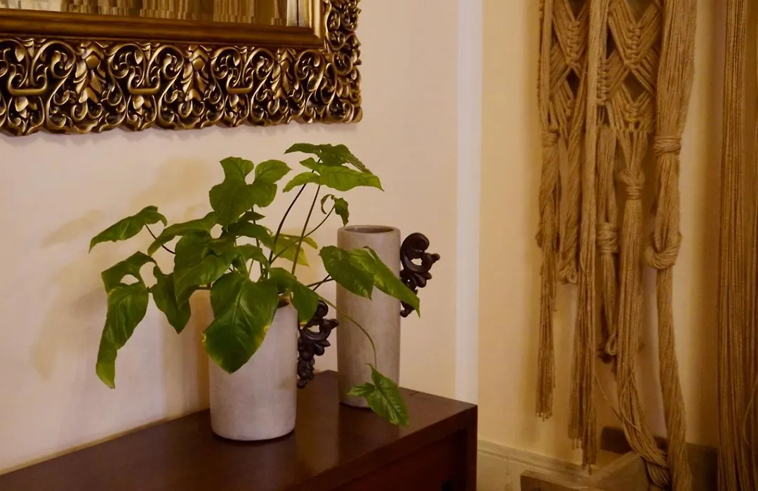 Casa Tavera- Adults Only-1