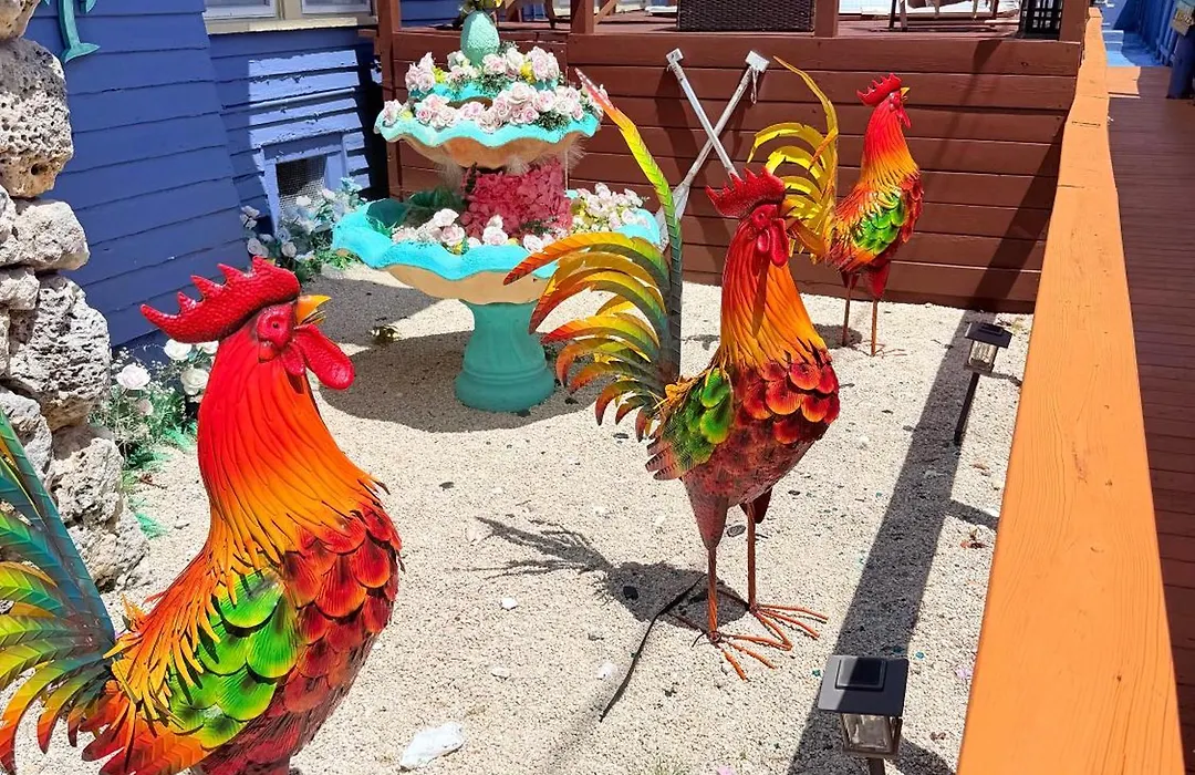 Blue Little Havana-1