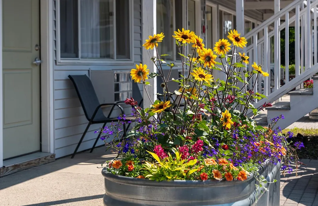 Bar Harbor Villager Motel - Downtown-1