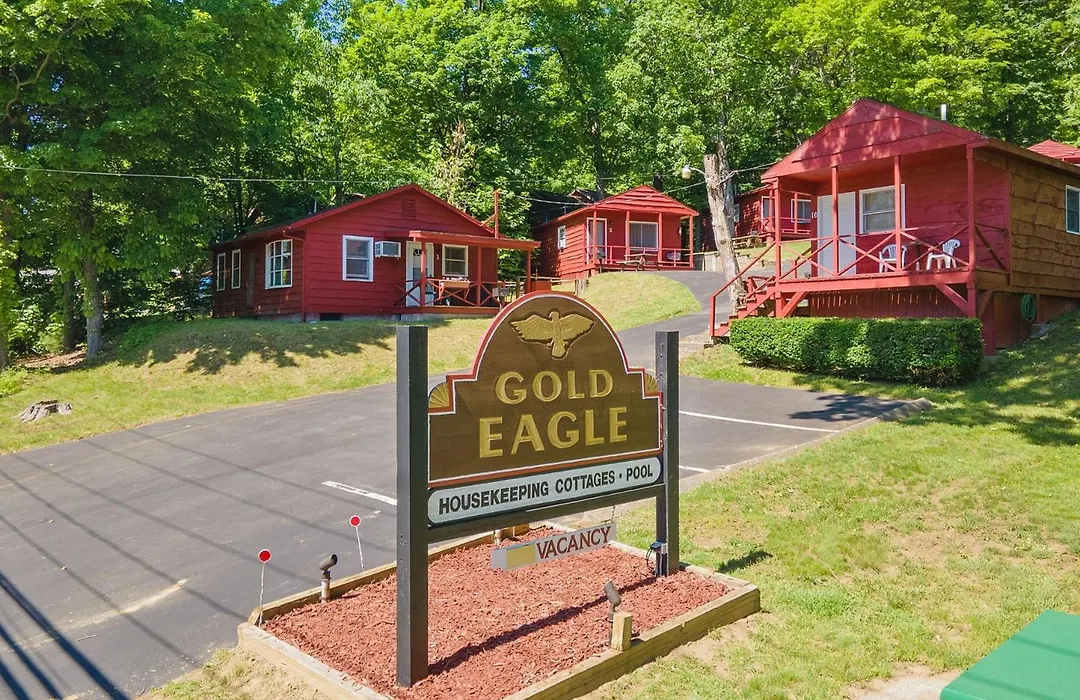 The Gold Eagle-1