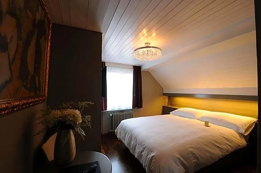 Hotel Limmatblick-1