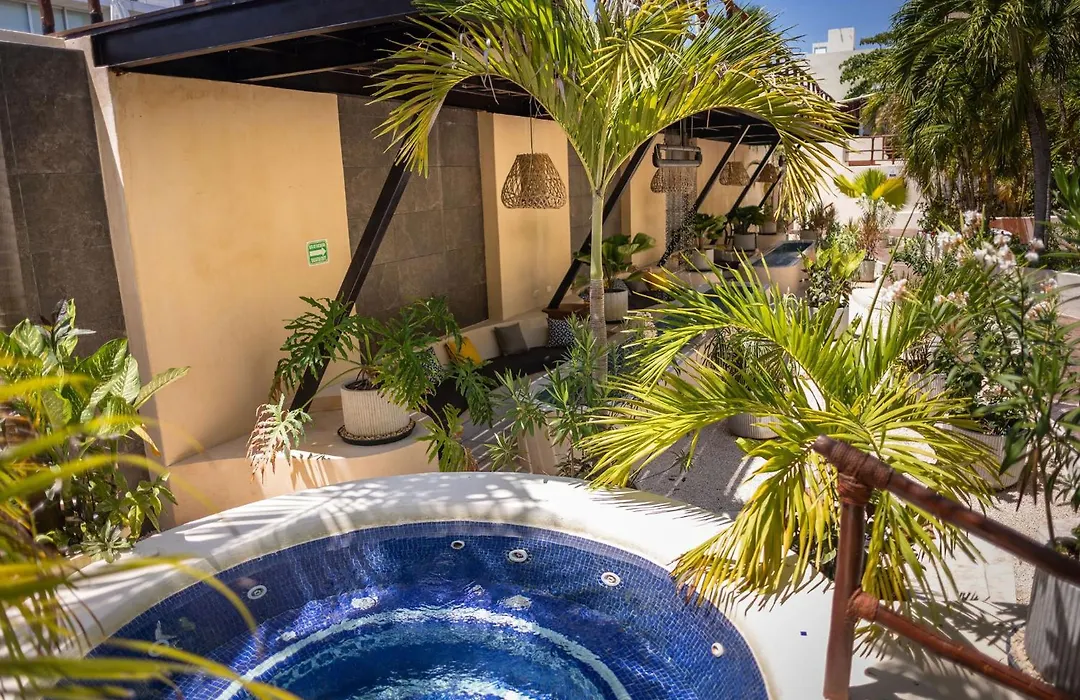 Porto Playa Condo Hotel And Beach Club-1