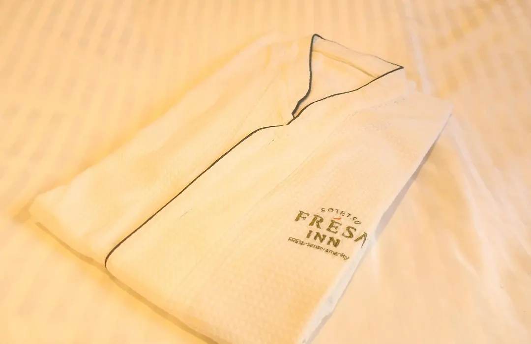 Sotetsu Fresa Inn Ginza Sanchome-1