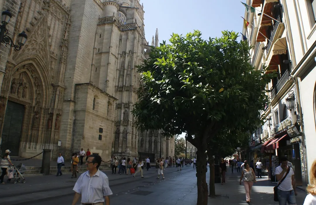 Catedral Boutique-1