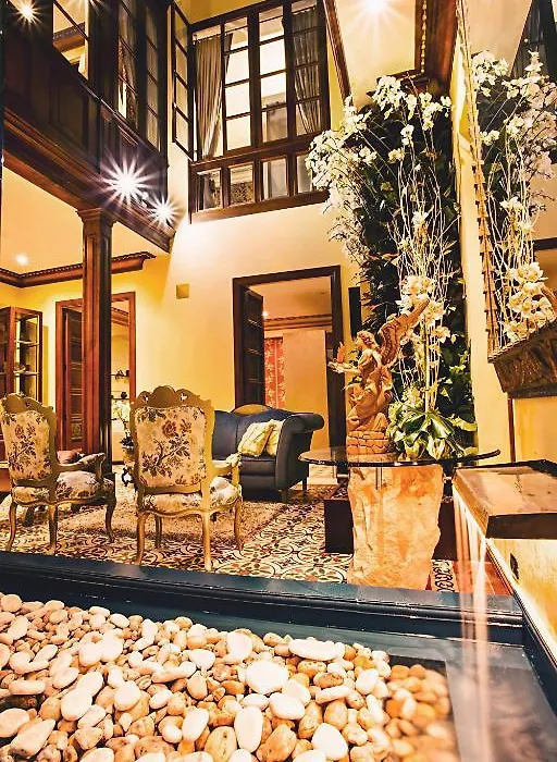 The Orchids-1