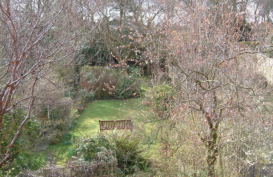 Terrace Hotel-1