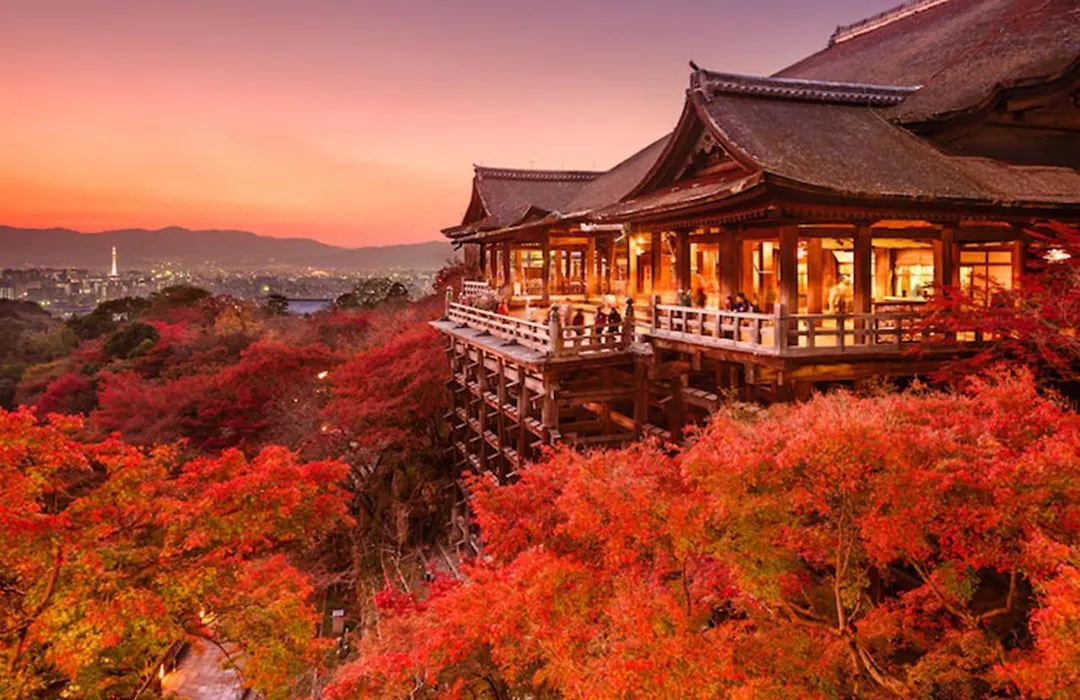 Kyoto Miyabi-1