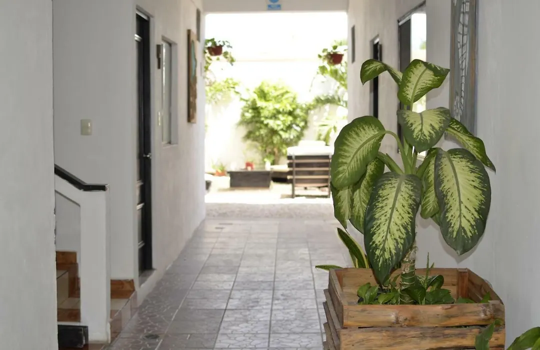 Hotel Nicte Ha Tulum-1