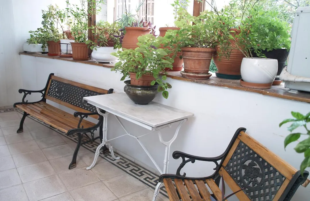 Acropolis House Hotel Classic-1