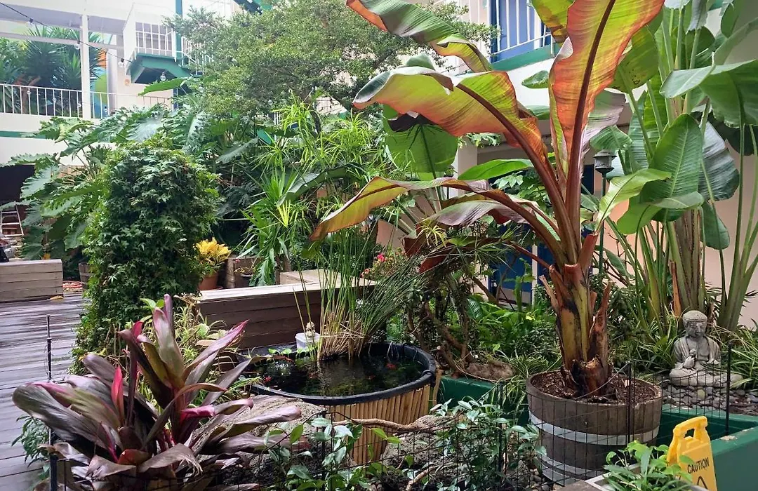 Oasis Inn-1