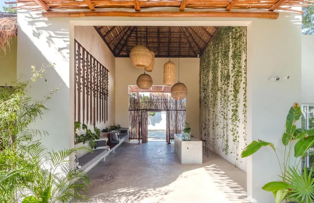 Zenses Wellness And Yoga Resort - Adults Only-1
