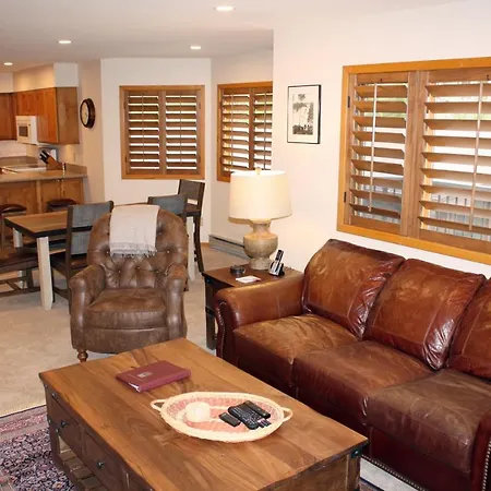Woods Manor #302-A - Close To Main Street - Access To Indoor Hot Tub And Shuttle-3