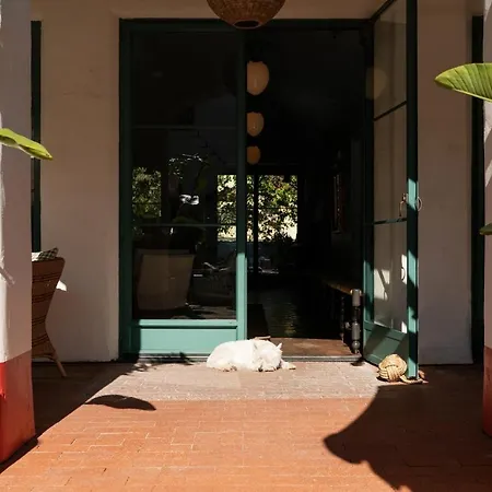 Palihouse Santa Barbara-2