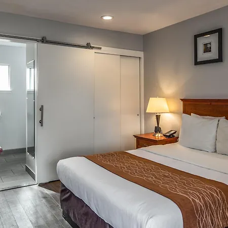 The Inn At 1252 Monterey-3