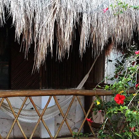 L Hotelito-3