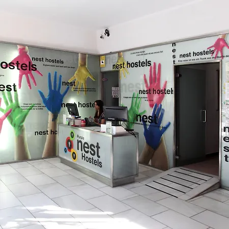 Purple Nest Hostel-3