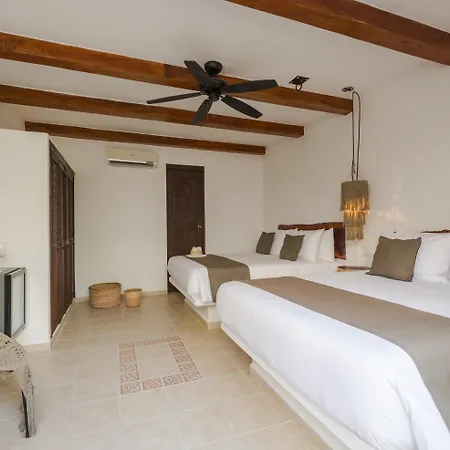 Hotel Banana Boutique & Spa - 5Th Av Playa Del Carmen-2
