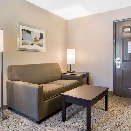 Clarion Inn & Suites Atlanta Downtown-2