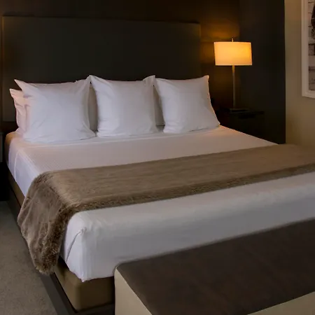 The Benson Portland, Curio Collection By Hilton-3