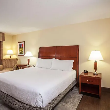 Hilton Garden Inn El Paso University-3