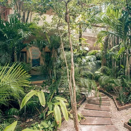 Orchid House Tulum Jungle-3