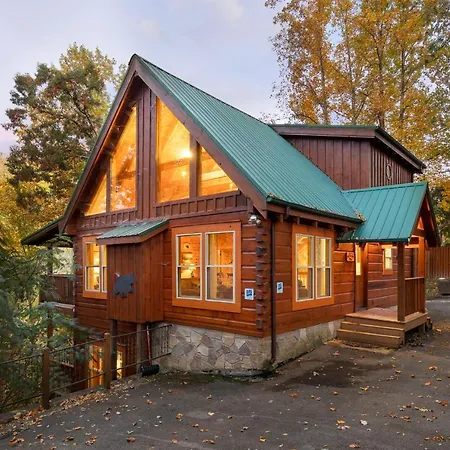 Cozy Bear Lodge-3