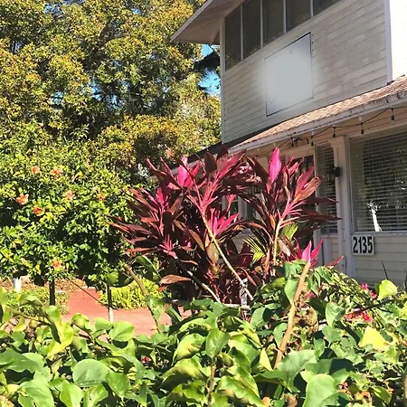 The Hibiscus House Of Fort Myers-3