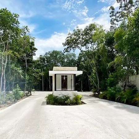 Casa Areca, Awarded Architectural Villa Located In A Secured Gated Community, With Concierge Services-3