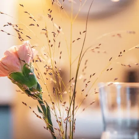Pop Up Hotel Krone Zuerich-3
