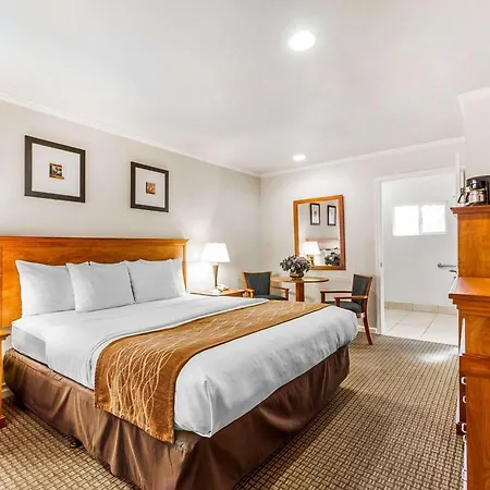 The Inn At 1252 Monterey-2