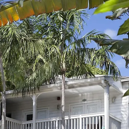 Paradise Inn (Adults Only)-3